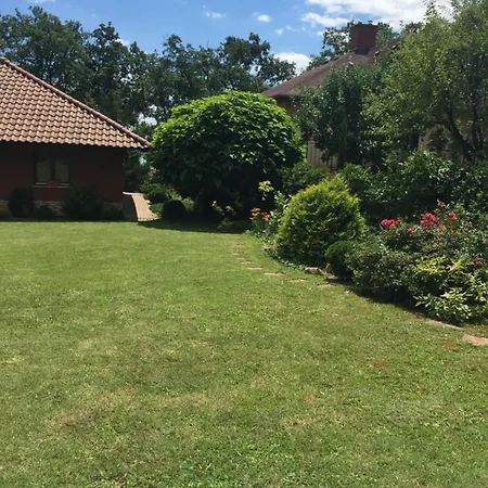 Diana * Балатонсепезд